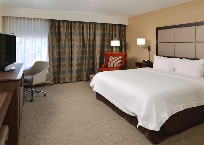 Hampton 3*