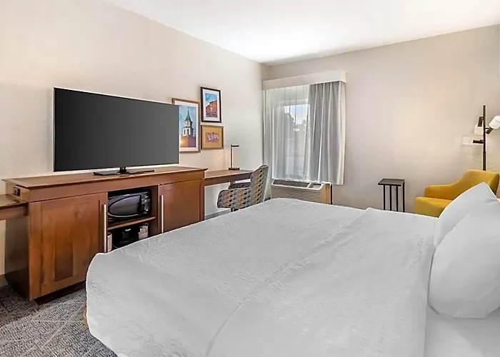 Hotel Hampton 3*